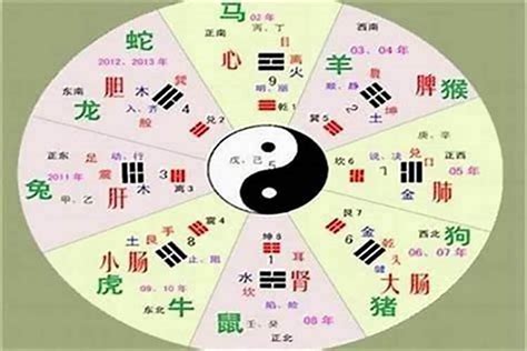 尚五行|尚字的五行属性